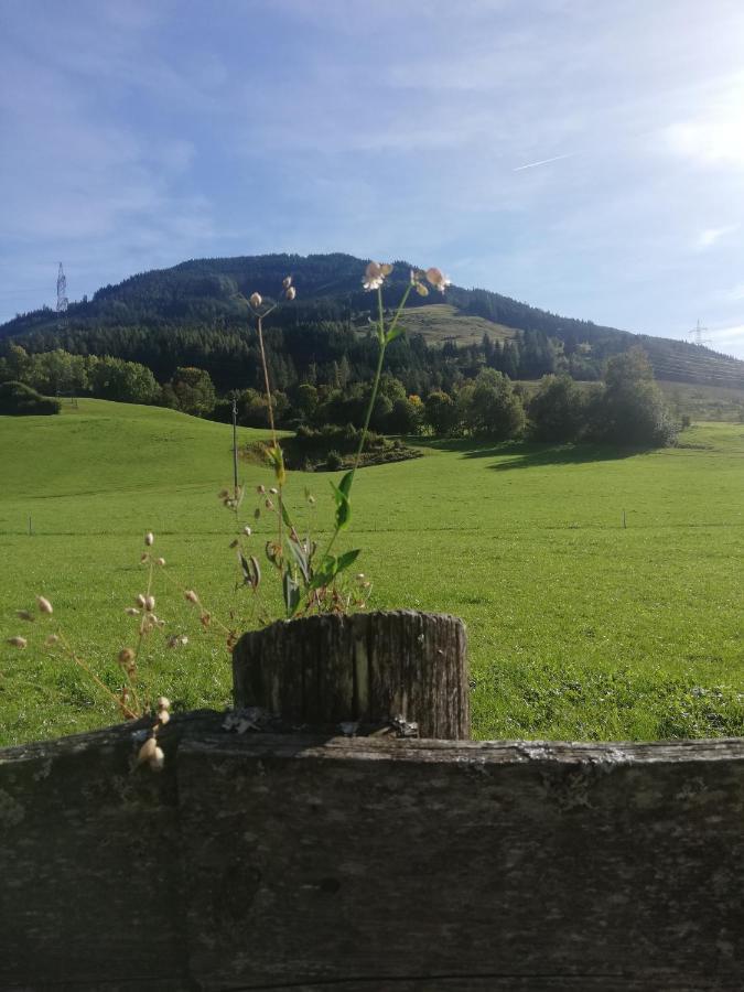 Haus Schreder Saalfelden Exterior foto